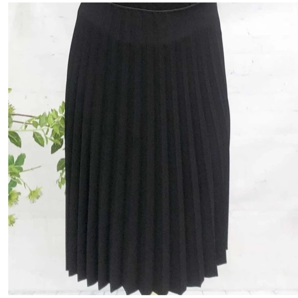 Everlane The Pleated Accordian Pleat Skirt